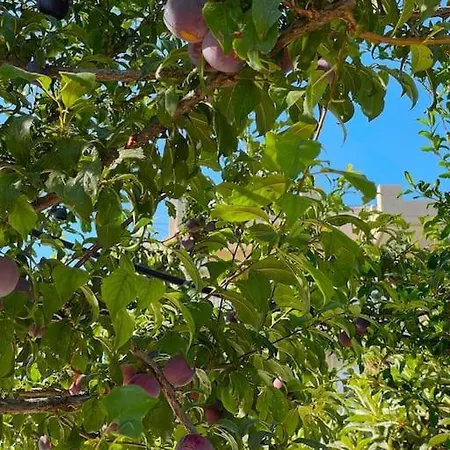 New Apt Close To Medical Center With Garden Heraklion  Exterior photo