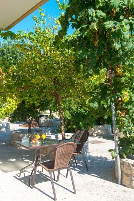 Apartamento New Close To Medical Center With Garden *