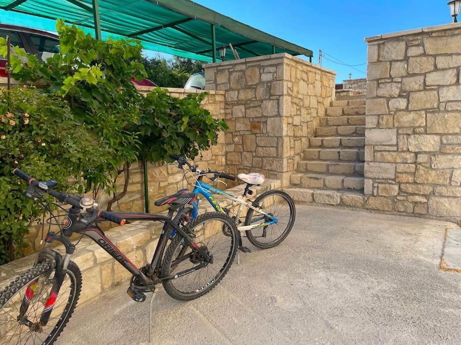 New Close To Medical Center With Garden Apartment *